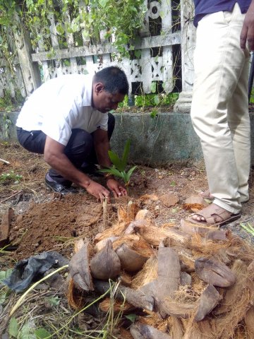Home gardening & Arecanut Planting Programme