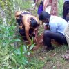 Home gardening & Arecanut Planting Programme